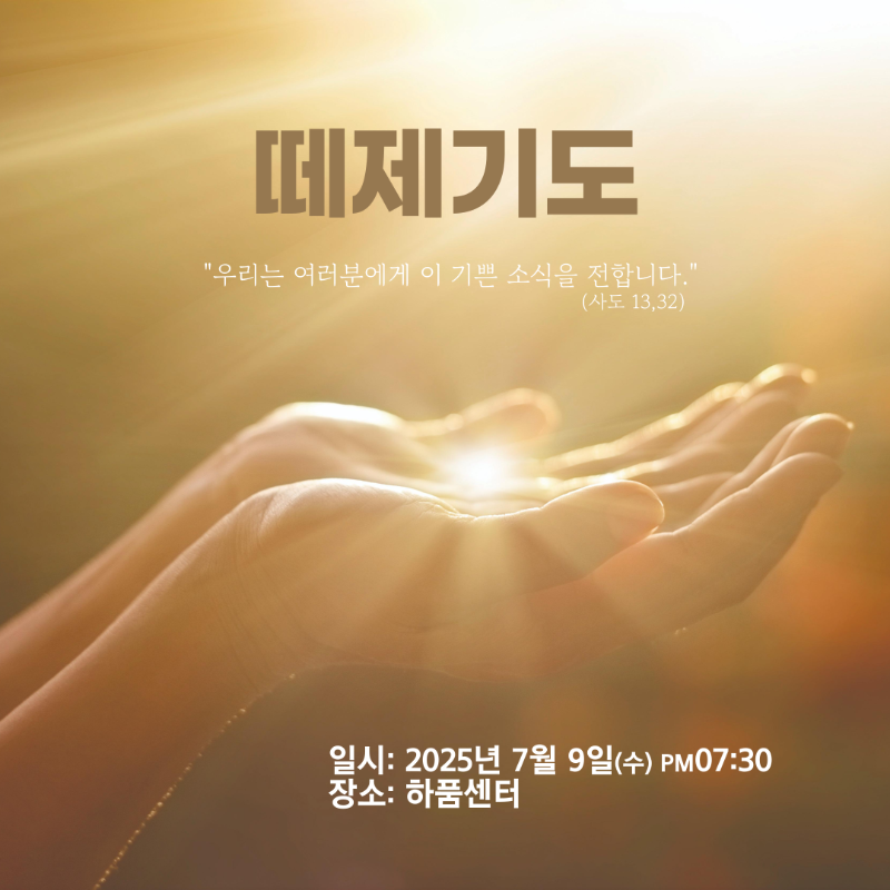 슬라이드 이미지