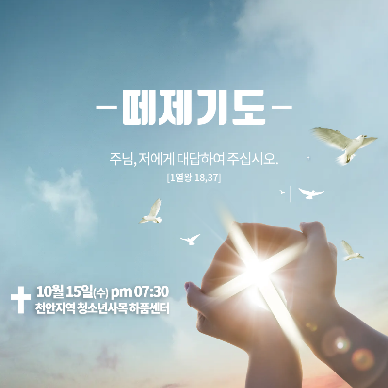 슬라이드 이미지